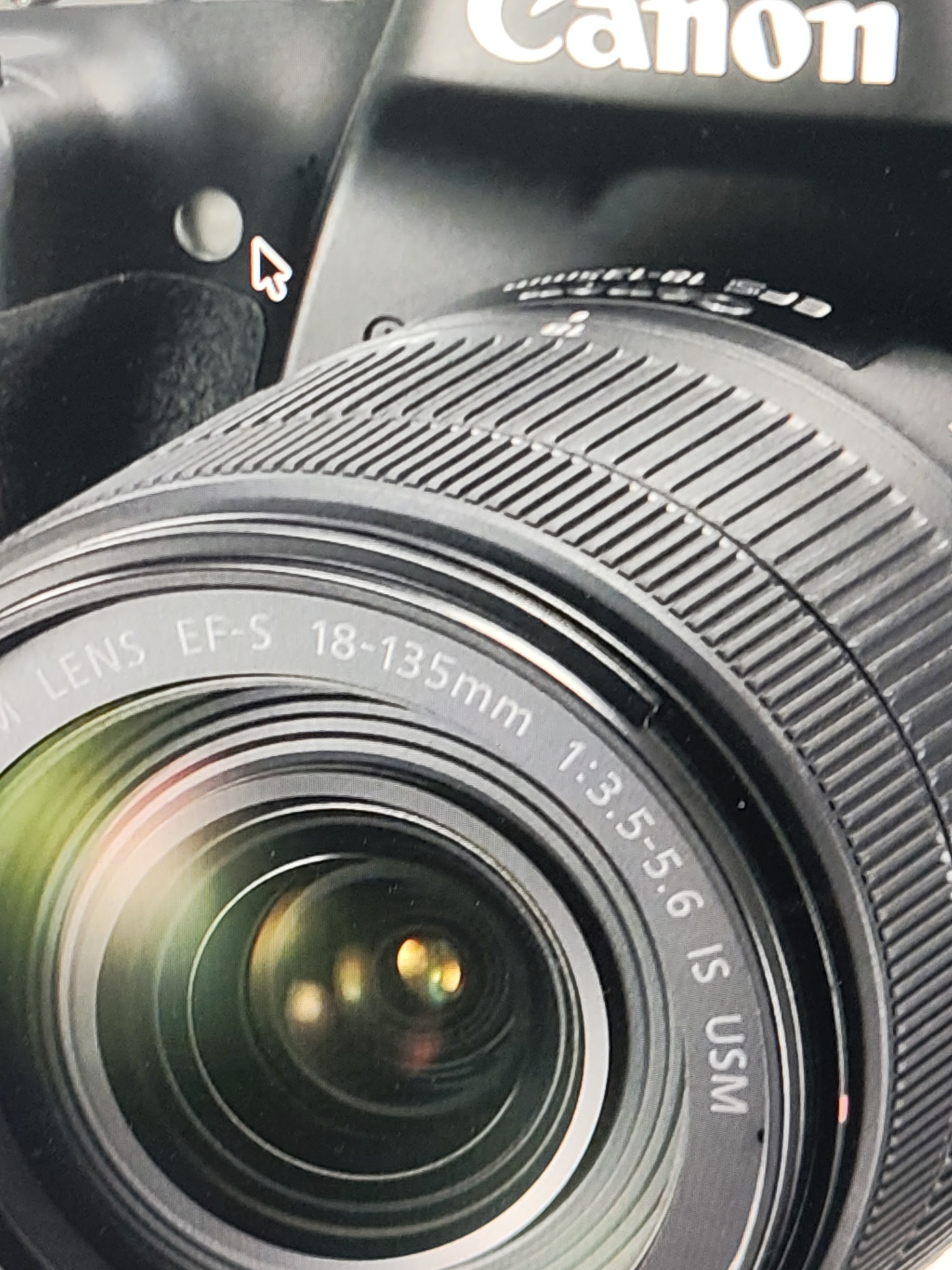Canon EOS 1DX Mark III DSLR, photo 2